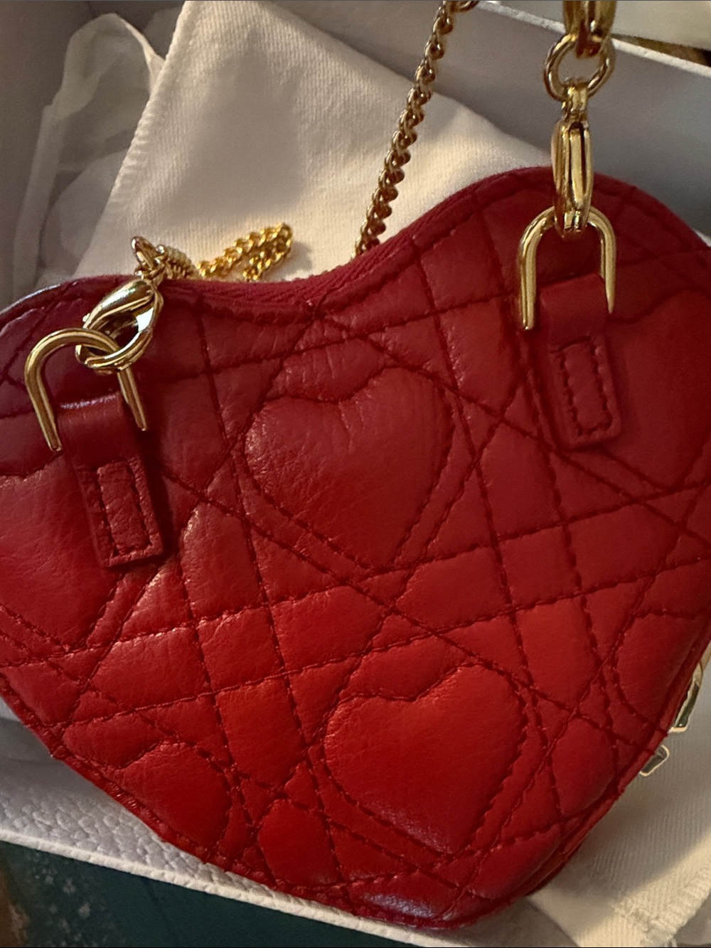 DIOR AMOUR CARO HEART POUCH WITH CHAIN - Picture 6 of 12